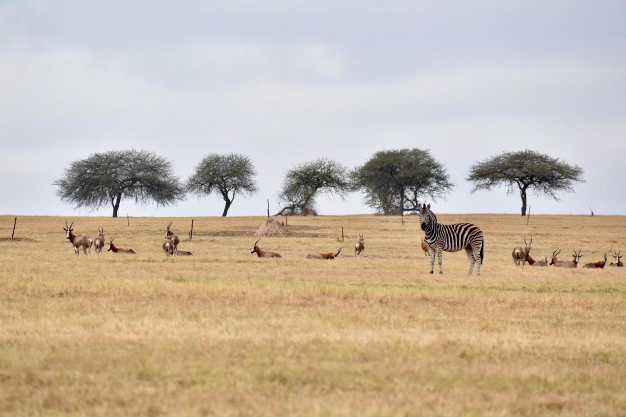 Grasslands Guest House Kaapmuiden エクステリア 写真